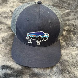 Patagonia bison trucker hat